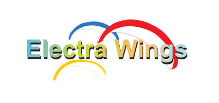 wing logo